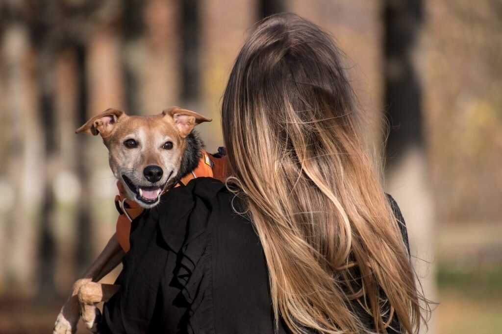Pet Blogs