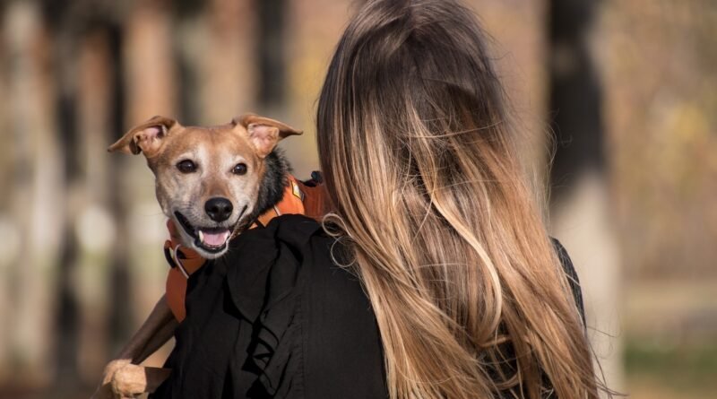 Pet Blogs
